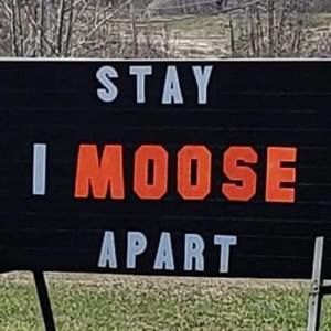 Meet your Posher, Leona